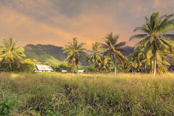 Obraz na płótnie Canvas paysage de l'île de Mo'orea en Polynésie