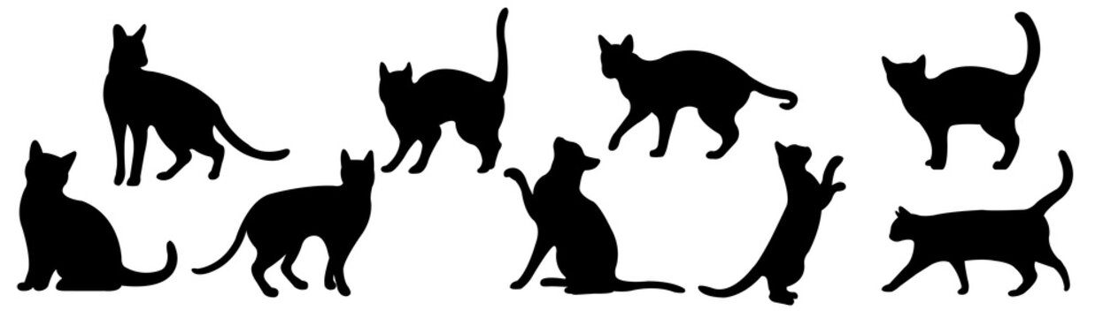 silhouettes of black cats set
