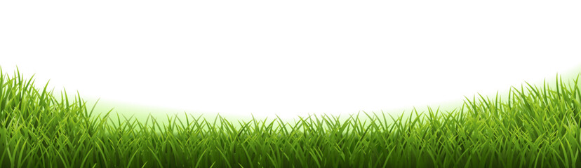 green grass background
