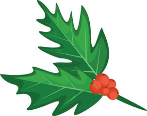 vector realistic hand drawn holly, ilex branch with berry and leaves, mistletoe. Christmas, new year holiday celebration symbol. Isolated illustration on a white background.