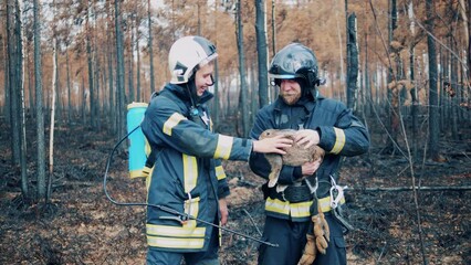 Firefighters are smiling with stroking a rescued wild rabbit
