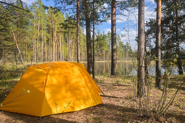 A tourist tent in the spring forest.