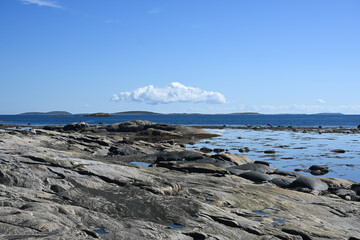 The White Sea at the end of summer.