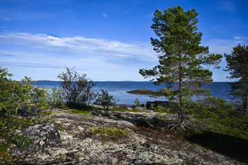 The White Sea at the end of summer.