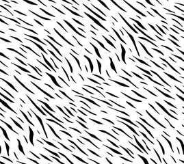 Full Seamless Zebra Tiger Pattern Textile Texture. Vector Background. Black and White Animal Skin for Women Dress Fabric Print.