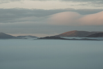 Forest surrounded by a cloud inversion