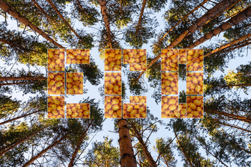 Fototapete bei efototapeten.de bestellen   