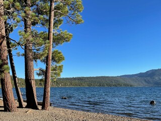 Rocky Lake Beach with Trees