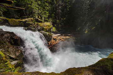 Waterfall in the forest