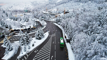 Snowy fairy-tale road in a mountain forest. Christmas or New Year has come. Coniferous trees in the...