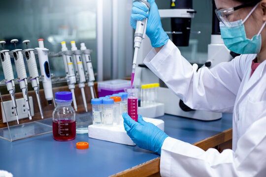 Scientist use micropipette with sample preparation from test tube of sample stock solution in the laboratory for bioassay of in vitro cells. Medicinal, Medicine, Biochemistry research.