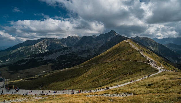 Świnica Bilder Durchsuchen 659 Archivfotos, und Videos