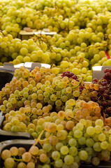 fruits and vegetables