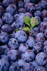 plums on market