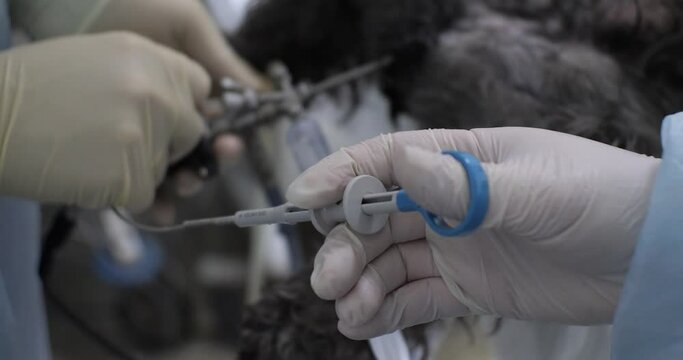 The doctor holds an endoscopic forceps in his hand and presses on it closing and opening it. During cystoscopy, the doctor takes a biopsy with endoscopic forceps.