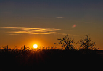 Morning sunrise over dark bushes and trees at fall