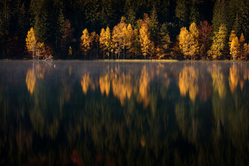 Beautiful colourful landscape in autumn season with rays of light in forest and lake reflection. Romania
