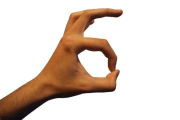 Gesto de ok o estar de acuerdo.