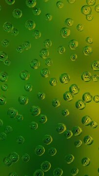 green crystal glass bubbles moving against green background. vertical video, spring mood