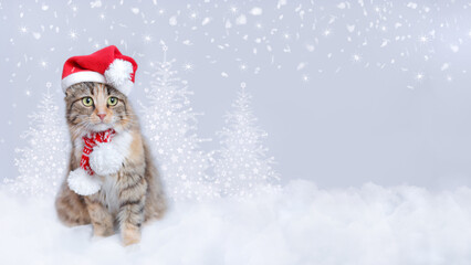 Artistic winter Christmas and New years background with snowy Christmas tree and Cat in a xmas red hat. Beautiful Winter holiday postcard with copy space . Greeting card. Holiday flyer. Billboard. 