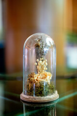 illustration, plant, texture, decoration, tree, spring, retro, paper, grunge, ornament, holiday, summer, wallpaper, frame, style, nature, card, leaf, design, vector, art, flower, pattern, floral, vint