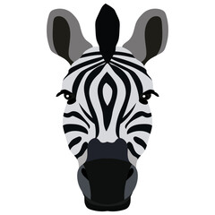 Zebra head, Animal face isolated on white background vector Illustration. Graphic Design for logo. wildlife and fauna zoo