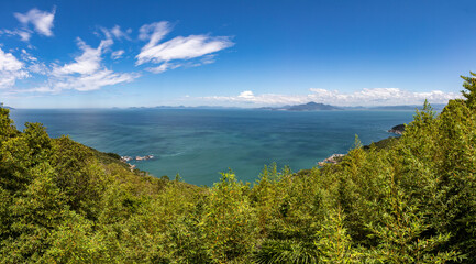 Fototapeta na wymiar Panorama with Forest, vegetation and ocean