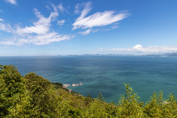 Forest, vegetation and ocean