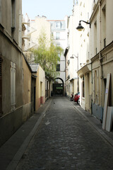 Fototapeta na wymiar Paris - Passage Jean Nicot