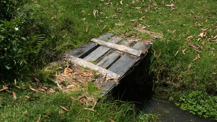 Small wooden bridge over a creek in Cotacachi, Ecuador