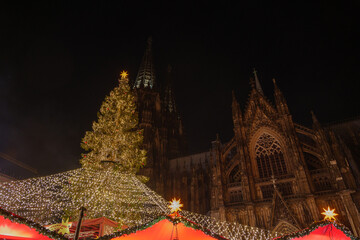 Night scenery and low angle view of huge Christmas tree and Cologne Cathedral during Weihnachtsmarkt, Christmas Market in Köln, Germany.