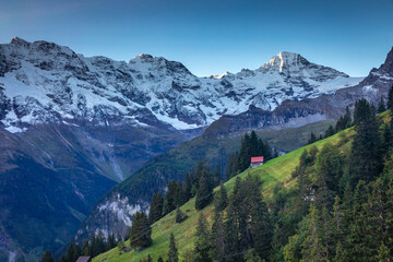 Obraz premium Snowcapped Bernese Swiss alps and alpine farms, Switzerland