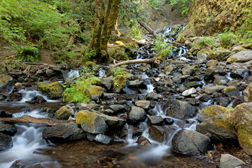 Starvation Creek Falls in the Columbia Gorge, Oregon, Taken in Summer