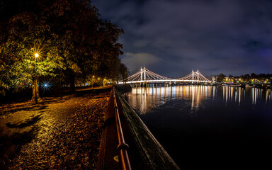 View of Albert Bridge and Battersea park at Christmas time in the night, London