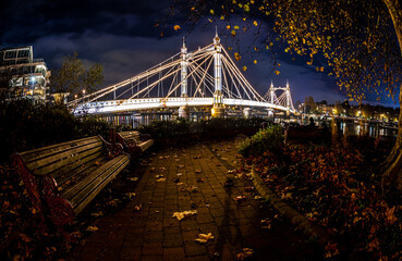 View of Albert Bridge and Battersea park at Christmas time in the night, London