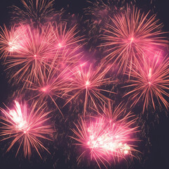 Obraz premium fireworks in the night