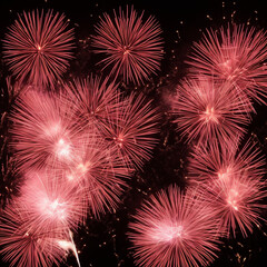 fireworks in the night