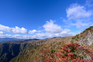 大台ヶ原　大蛇嵓　紅葉