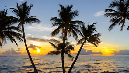 ヤシの木　海