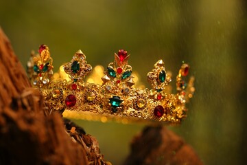 Beautiful golden crown on wood outdoors, closeup. Fantasy item