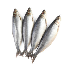 Delicious whole salted herrings isolated on white, top view