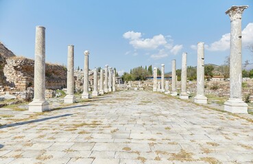 Fototapeta premium A Colonnaded Street in Aphrodisias, Turkey