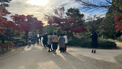 tourists on the road