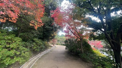 path in the park