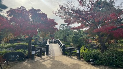 autumn in the park