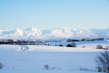 冬の晴れた日の雪原と山並み　十勝岳連峰