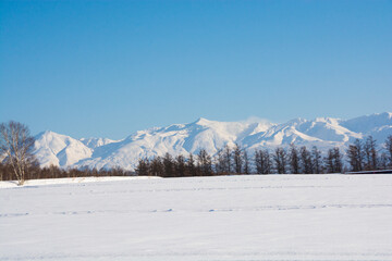 Fototapeta na wymiar 冬の晴れた日の雪原と山並み　十勝岳