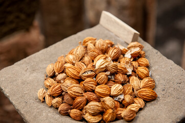 A perennial herb whose fruit is a Chinese herb used as a seasoning in cooking.