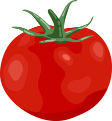 Tomato illustration element