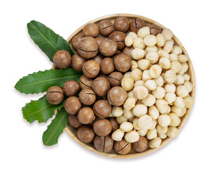 Macadamia nuts with leaf and Macadamia with hard shell on wooden background isolate on white with clipping path.